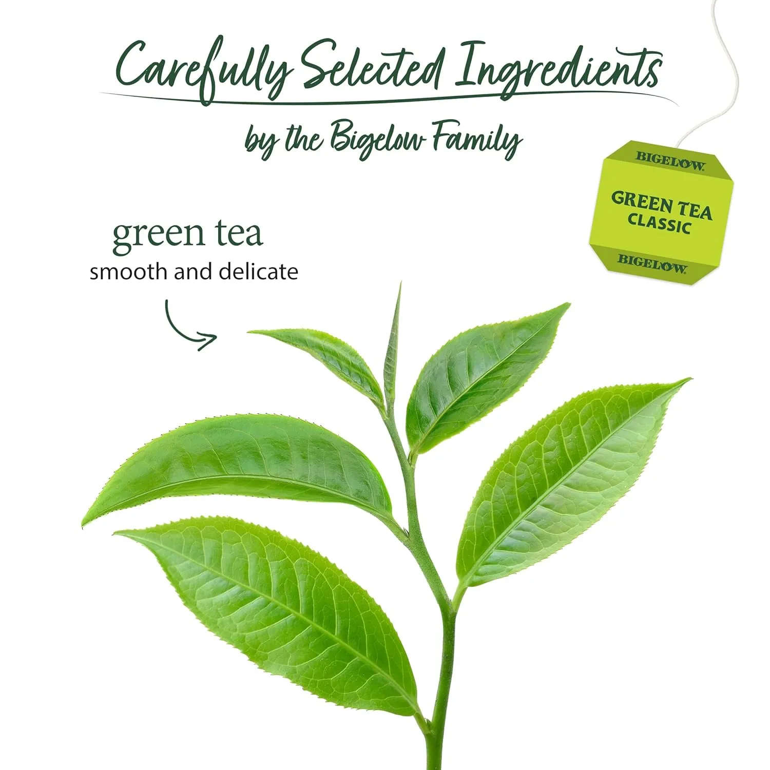 Bigelow Tea Classic Green Tea, Caffeinated Tea with Green Tea, 40 Count Box (Pack of 6), 240 Total Tea Bags