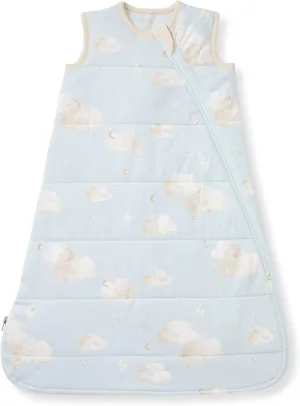 Burt's Bees Baby Beekeeper Infant Wearable Blanket, 100% Organic Cotton Unisex, Girl, Boy Swaddle Transition Sack