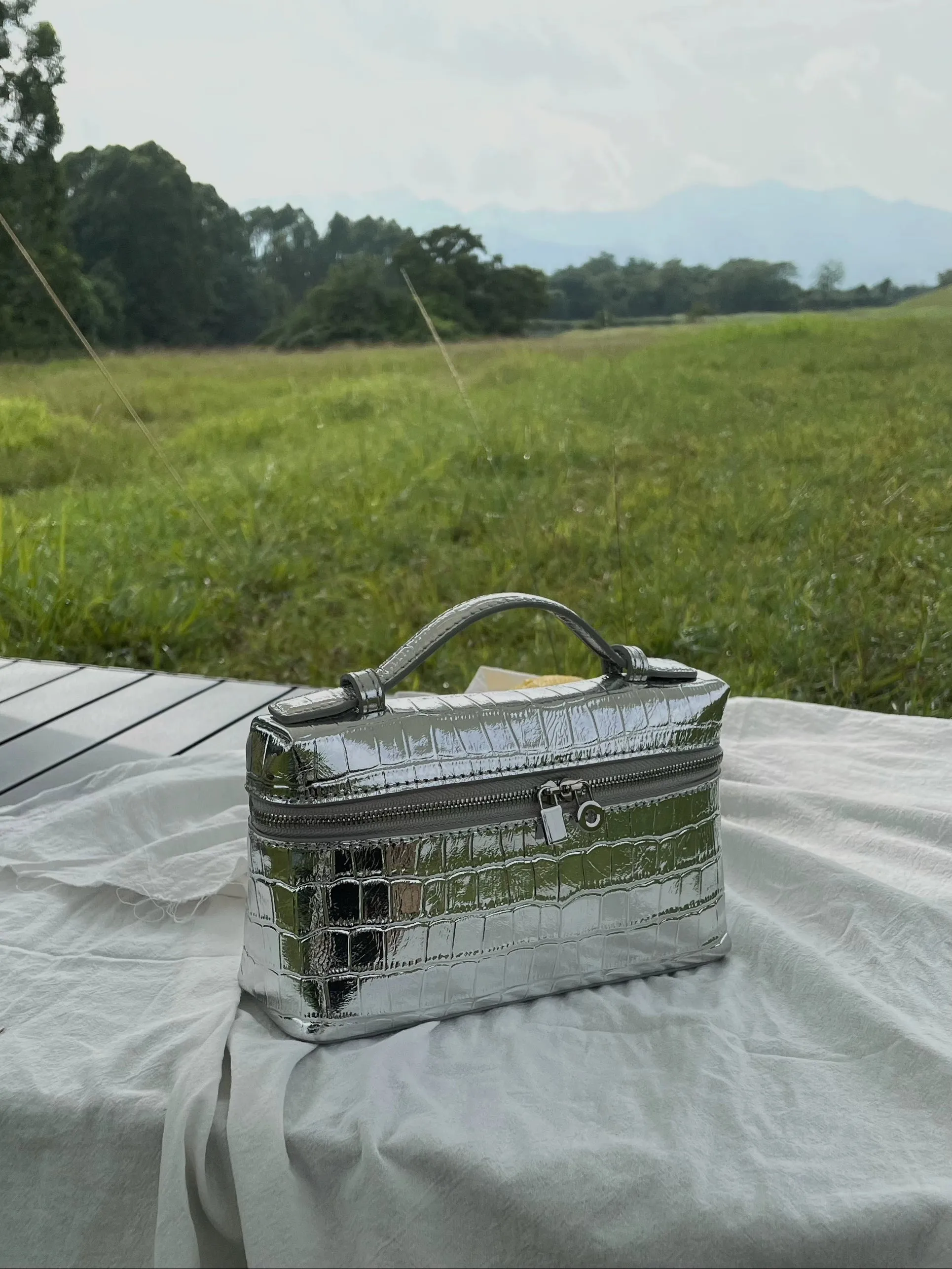 Crocodile Patterned Silver Box Bag