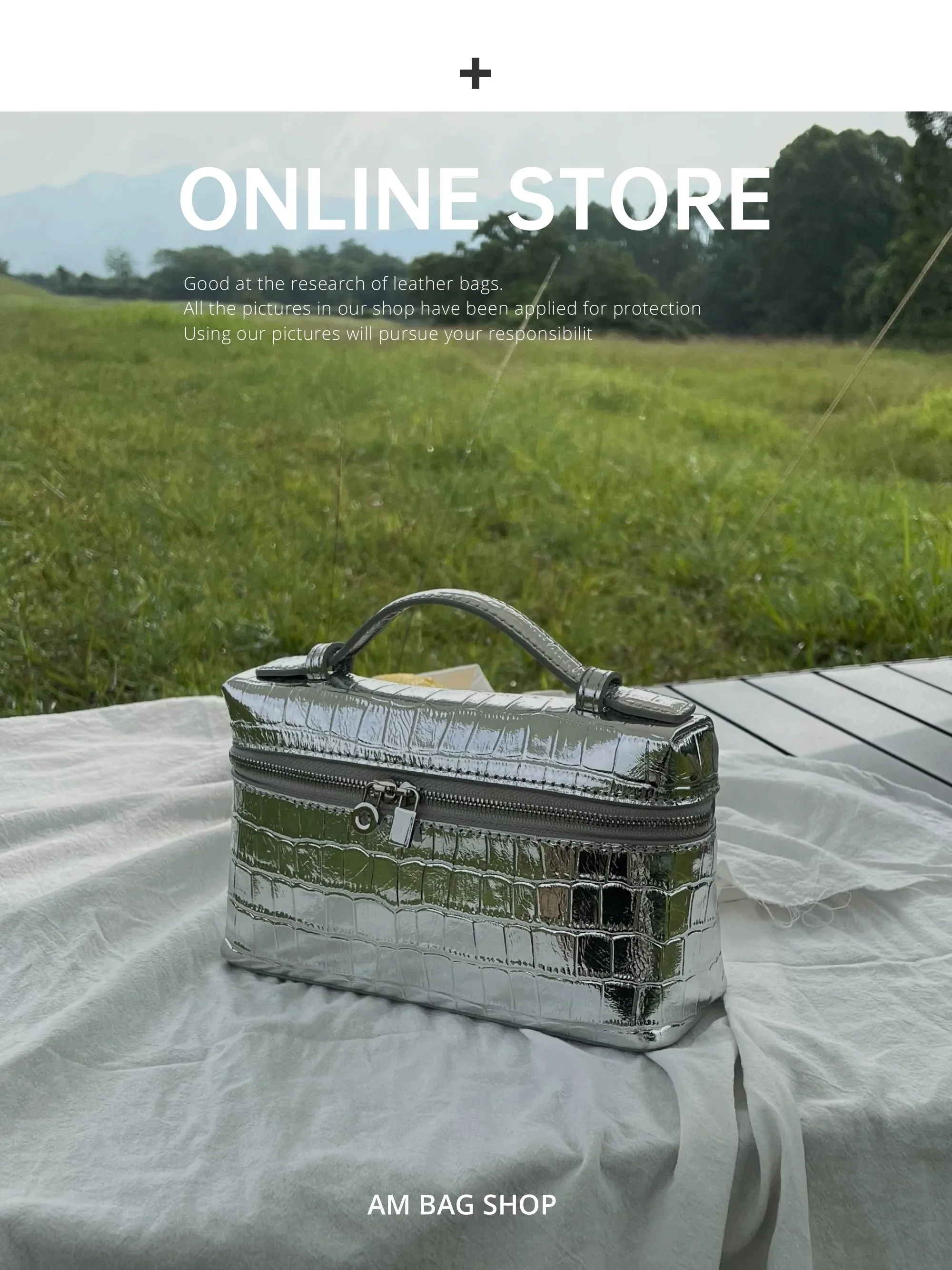 Crocodile Patterned Silver Box Bag