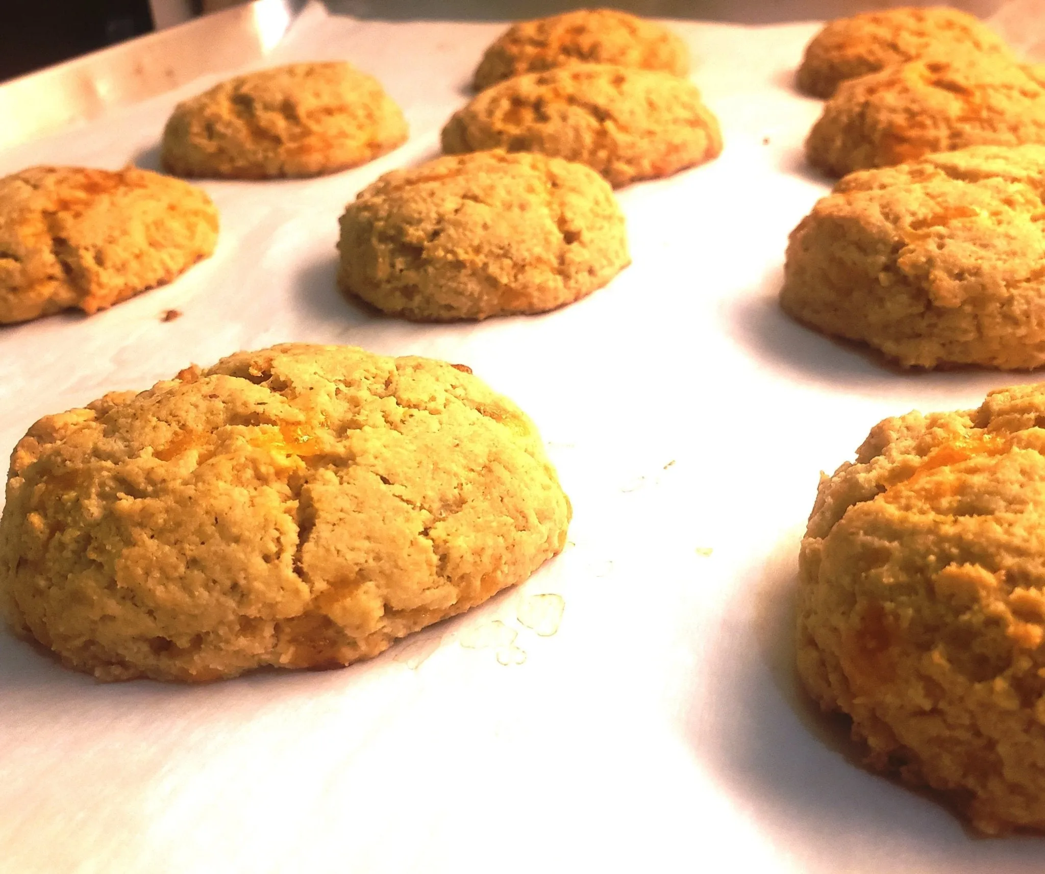 Keto & Gluten Free Biscuit Mix – 3-Pack Buttery Baking Blend