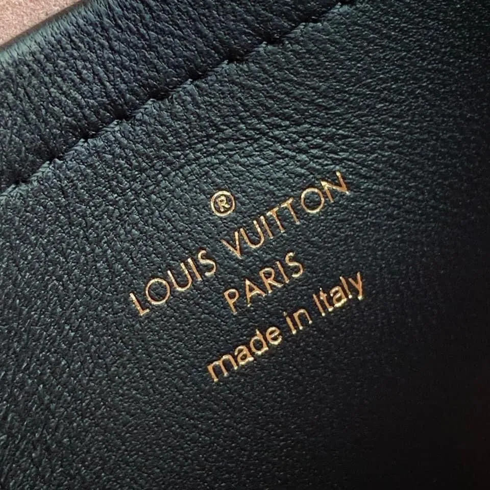 Louis Vuitton Pochette Coussin bag