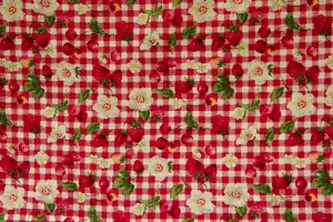 Multi-Berry Flowers Red White Check SOLD OUT