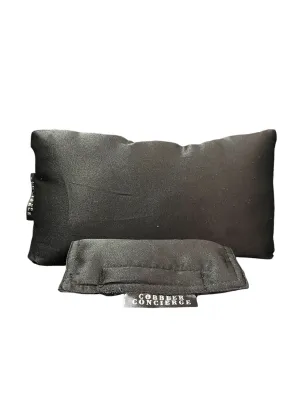 Purse pillow