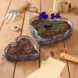 Set of 2 Seedling Flower Pot Planter Baskets