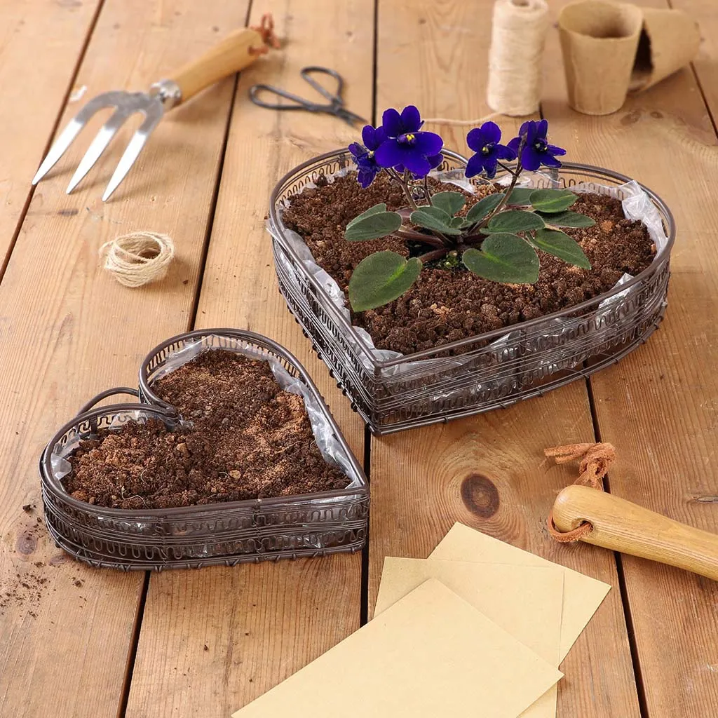 Set of 2 Seedling Flower Pot Planter Baskets