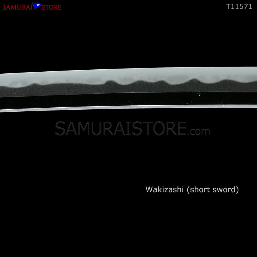 T11571 Pair of antique Katana & Wakizashi TADAHIRO w/ NBTHK special certificates